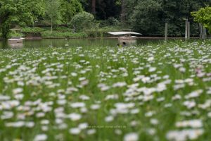 Naturfotografie. Iryna Mathes