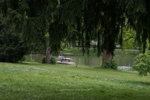 Naturfotografie. Iryna Mathes