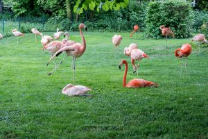 Naturfotografie. Iryna Mathes