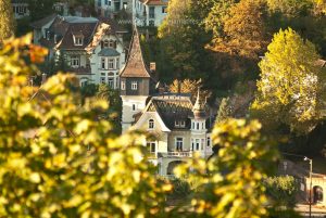Heidelberg im Herbst, Iryna Mathes photography