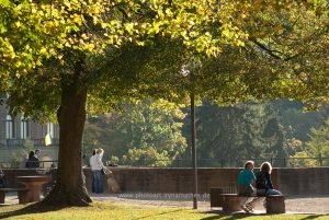 Heidelberg im Herbst, Iryna Mathes Photo