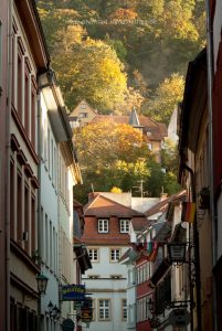 Heidelberg im Herbst, Iryna Mathes photo