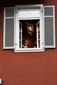 Heidelberg, Deutschland, Street life, Iryna Mathes photography