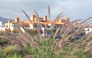 Hotel Riu Garoe, Tenerife. Travel photography Iryna Mathes