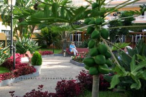 Hotel Riu Garoe, Tenerife. Travel photography Iryna Mathes