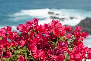 Küste von Teneriffa, Iryna Mathes Reise Fotografie