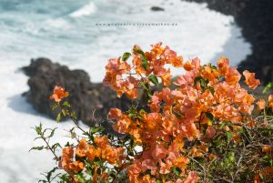 Küste von Teneriffa, Iryna Mathes Reise Fotografie