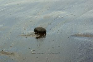 Küste von Teneriffa, Iryna Mathes Reise Fotografie