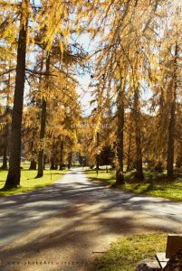 Herbst in Österreich. Fotografie Iryna Mathes