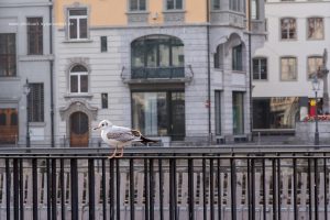 Luzern, Iryna Mathes Fotografie