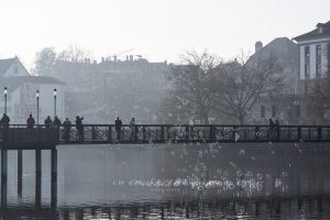 Zurich, am 1 Januar 2017. Iryna Mathes Fotografie