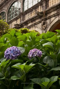 Santiago de Compostella. Fotoreise Iryna Mathes