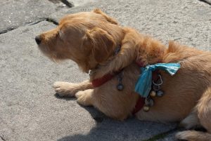 Santiago de Compostella. Fotoreise Iryna Mathes