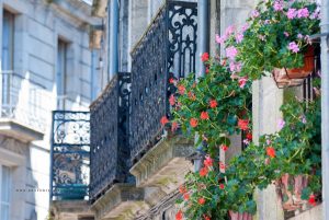 Santiago de Compostella. Fotoreise Iryna Mathes