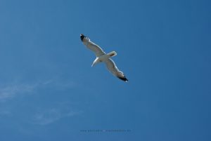 Santiago de Compostella. Fotoreise Iryna Mathes. Umgebung