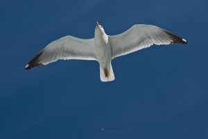 Santiago de Compostella. Fotoreise Iryna Mathes. Umgebung