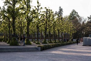 Frühling in Karlsruhe. Iryna Mathes Fotografie