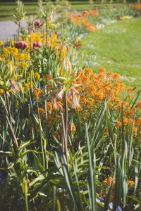 Frühling in Karlsruhe. Iryna Mathes Fotografie
