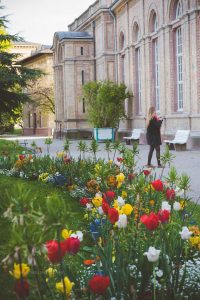 Frühling in Karlsruhe. Iryna Mathes Fotografie. Botanischer Garten