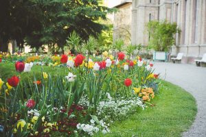 Frühling in Karlsruhe. Iryna Mathes Fotografie, Botanischer Garten