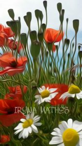 Mohn Fantasie, photo mobil. Iryna Mathes