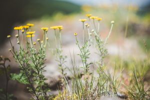 Stadt Kirn, Umgebung. Iryna Mathes Fotografie.. Places and stories