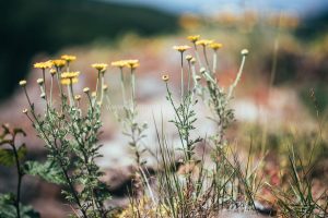 Stadt Kirn, Umgebung. Iryna Mathes Fotografie.. Places and stories