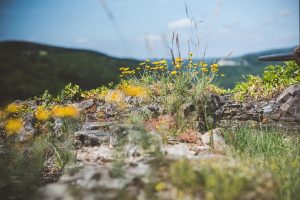 Stadt Kirn, Umgebung. Iryna Mathes Fotografie.. Places and stories