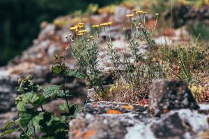 Stadt Kirn, Umgebung. Iryna Mathes Fotografie.. Places and stories