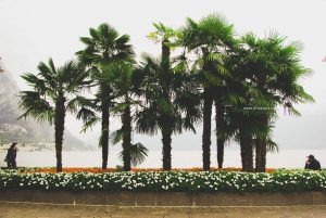 Reisereportage Fotografie, Italien Gardasee