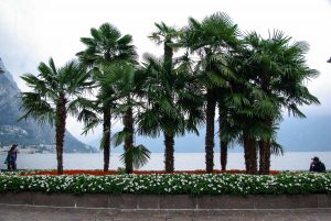 Reisereportage Fotografie, Italien Gardasee