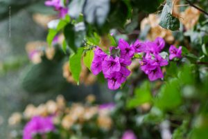 Reisereportage Fotografie, Italien Gardasee