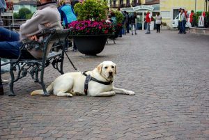 Reisereportage Fotografie, Italien Gardasee