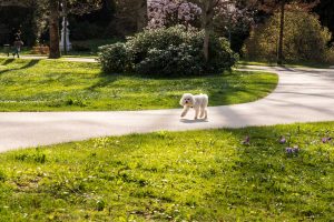 Frühling in Baden-Baden. Moments mit Iryna Mathes
