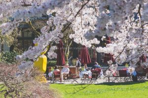 Frühling in Baden-Baden. Moments mit Iryna Mathes