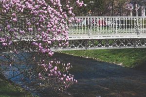 Frühling in Baden-Baden. Moments mit Iryna Mathes