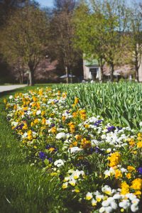 Frühling in Baden-Baden. Moments mit Iryna Mathes