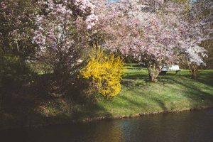 Frühling in Baden-Baden. Moments mit Iryna Mathes