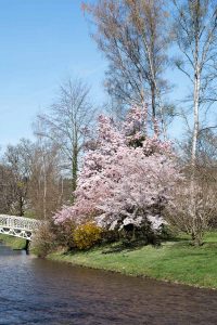 Frühling in Baden-Baden. Moments mit Iryna Mathes
