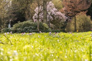 Frühling in Baden-Baden. Moments mit Iryna Mathes