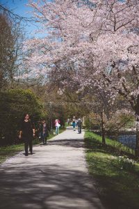 Frühling in Baden-Baden. Moments mit Iryna Mathes