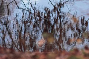 Foto Aquarell. Natur malt. Fotografiert von Iryna Mathes