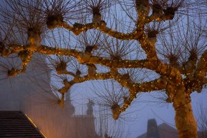 Lifestyle photography. Weihnachtsmärkte in Deutschland. Winterzauber. Iryna Mathes photography