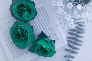 Flower story, Iryna Mathes photography. Art work