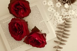 Flower story, Iryna Mathes photography. Art work