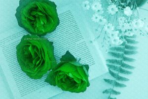 Flower story, Iryna Mathes photography. Art work