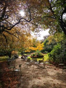 Paris im Herbst. Reise. Reise Fotografie Iryna Mathes