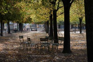 Paris im Herbst. Reise. Reise Fotografie Iryna Mathes