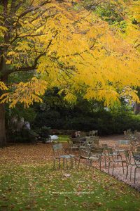 Paris im Herbst. Reise. Reise Fotografie Iryna Mathes