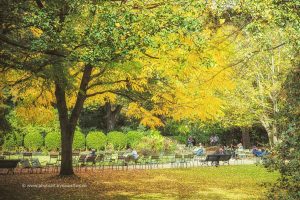 Paris im Herbst. Reise. Reise Fotografie Iryna Mathes